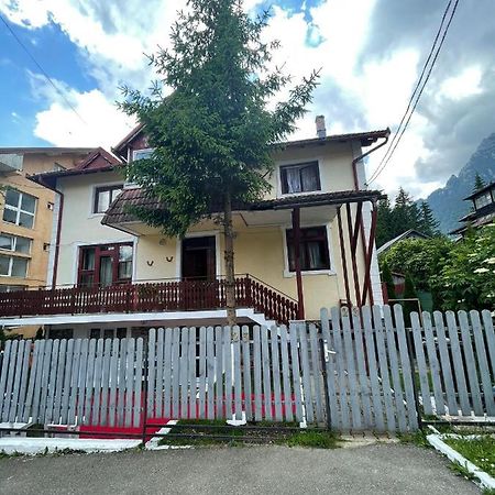 Hotel Constantinescu A. Buşteni Esterno foto