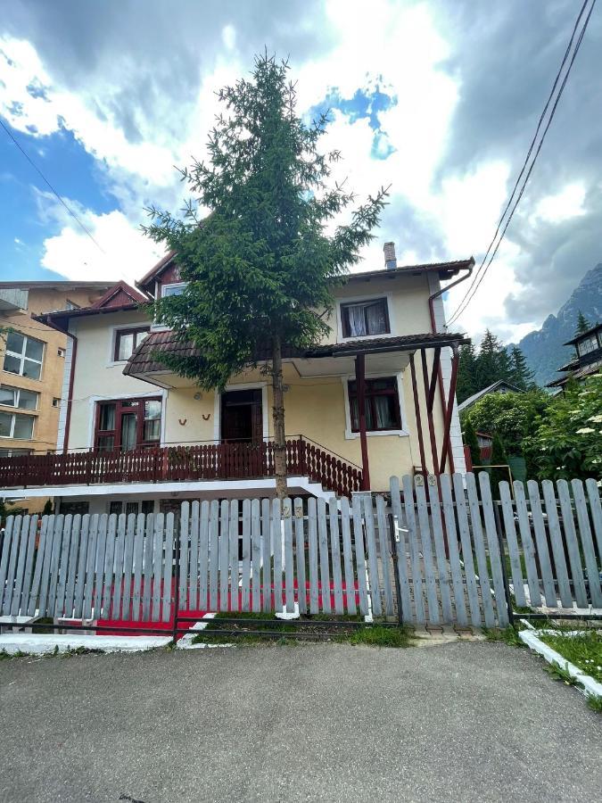 Hotel Constantinescu A. Buşteni Esterno foto
