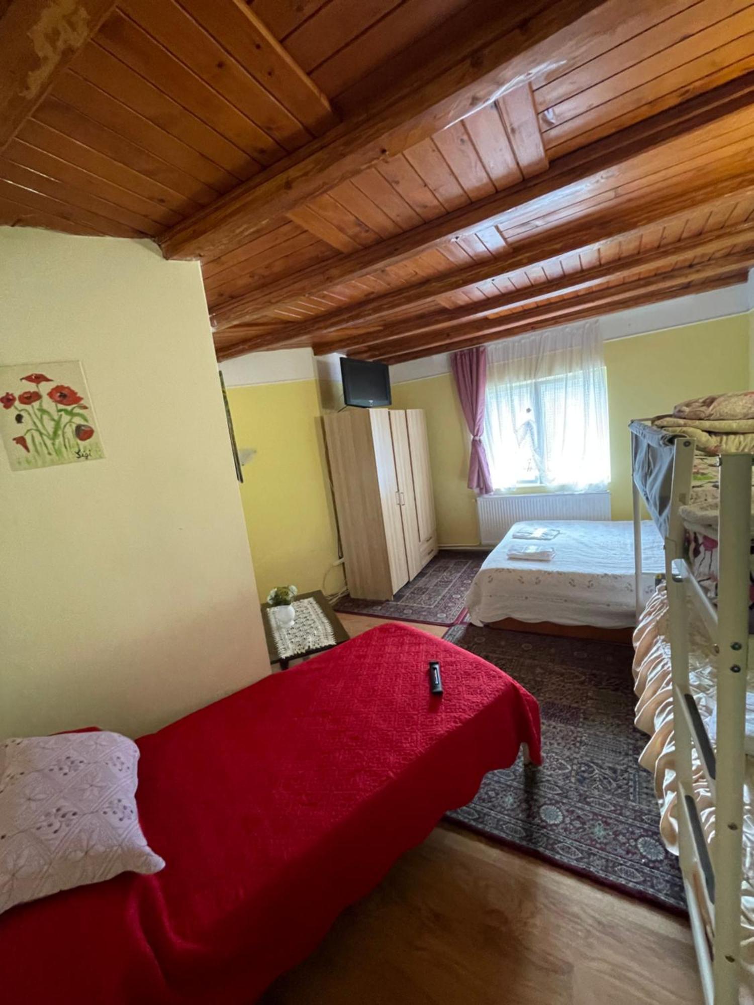 Hotel Constantinescu A. Buşteni Esterno foto