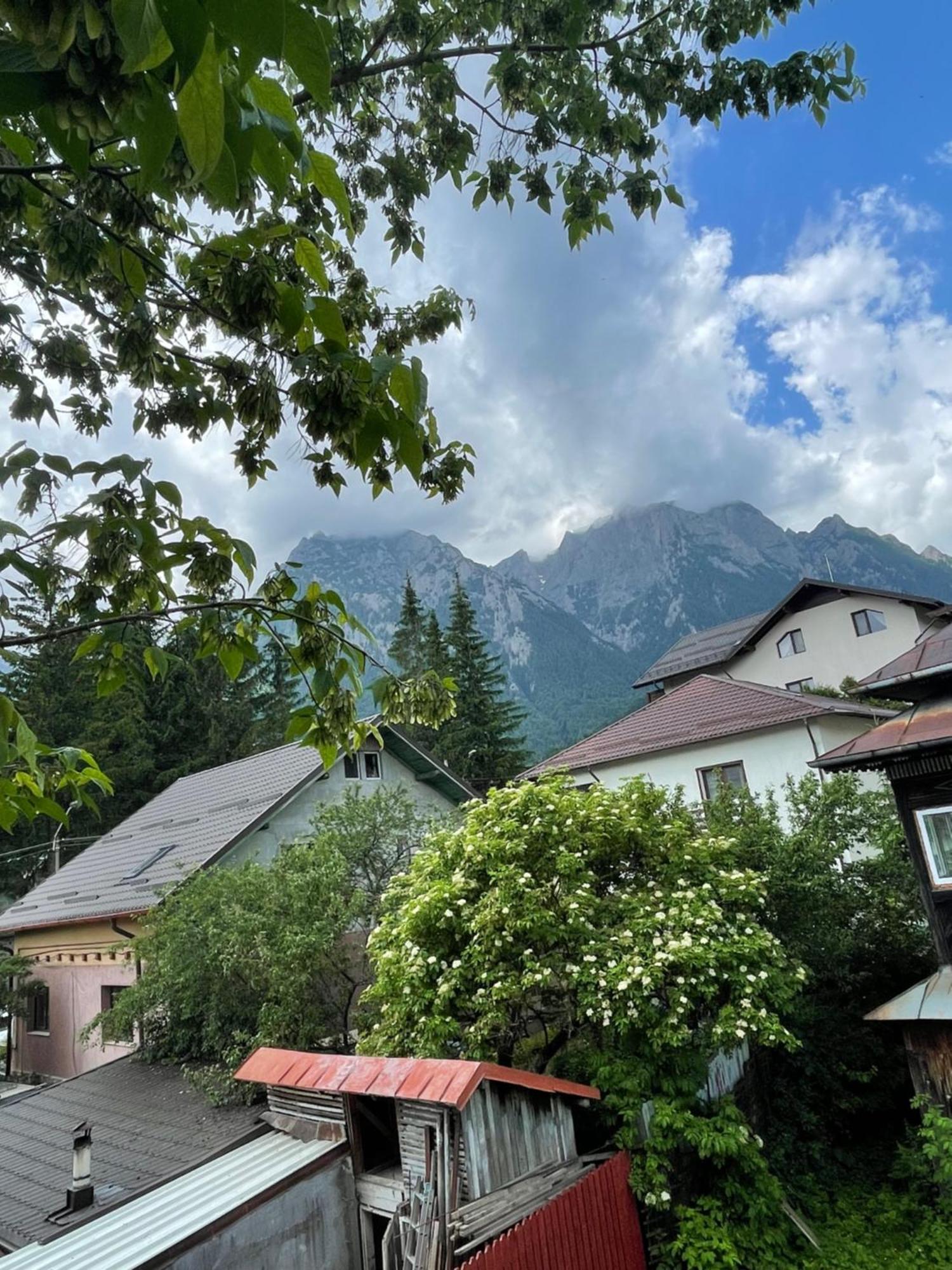Hotel Constantinescu A. Buşteni Esterno foto