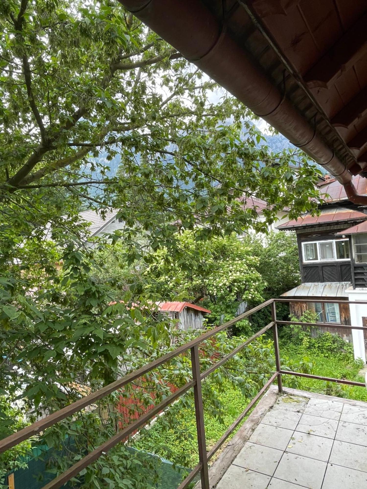 Hotel Constantinescu A. Buşteni Esterno foto